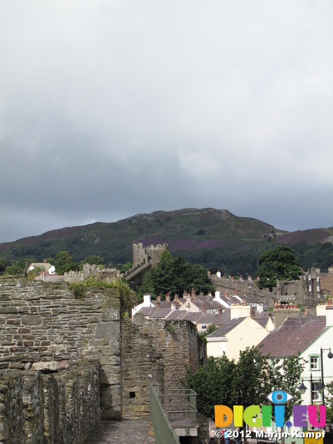 SX23247 Conwy medieval wall running to hills